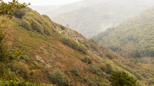 A misty view of the Teign gorge rich with Autumn colour